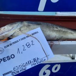 528 cañas dieron vida a la 27° Fiesta Nacional de la Brótola en Villa Gesell.