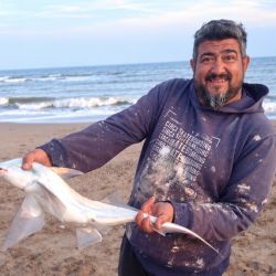 Con esta propuesta de formato “picadito”, un grupo de aficionados busca recuperar el espíritu de los torneos en Miramar y volver a poner a la especie en el centro de la escena.