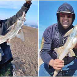 Con esta propuesta de formato “picadito”, un grupo de aficionados busca recuperar el espíritu de los torneos en Miramar y volver a poner a la especie en el centro de la escena.