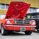 FORD PACHECO