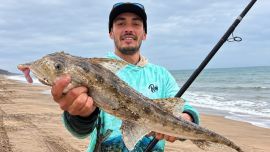 Con esta propuesta de formato “picadito”, un grupo de aficionados busca recuperar el espíritu de los torneos en Miramar y volver a poner a la especie en el centro de la escena.