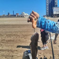Más de 500 cañas presentes en uno de los atrapantes torneos en la costa bonaerense.