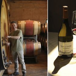 Bodega Sur de Los Andes en Delirio