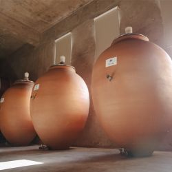 Bodega Sur de Los Andes en Delirio