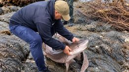 0510_pesca