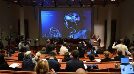 Premio Nobel de Medicina