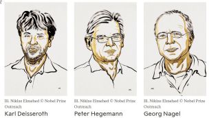 Nobel Med 2026