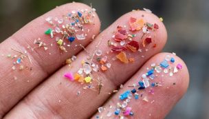 microplasticos en Antartida