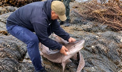 0510_pesca