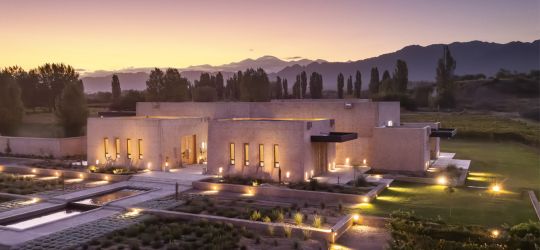 La búsqueda para ofrecer lo mejor de cada terroir 