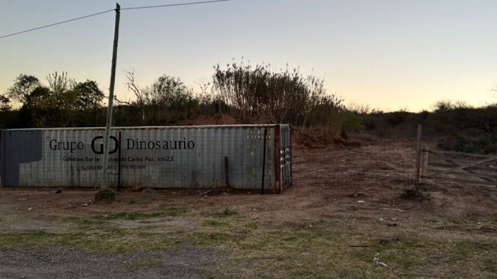 Contendedor Grupo Dinosaurio