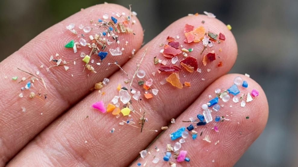 microplasticos en Antartida