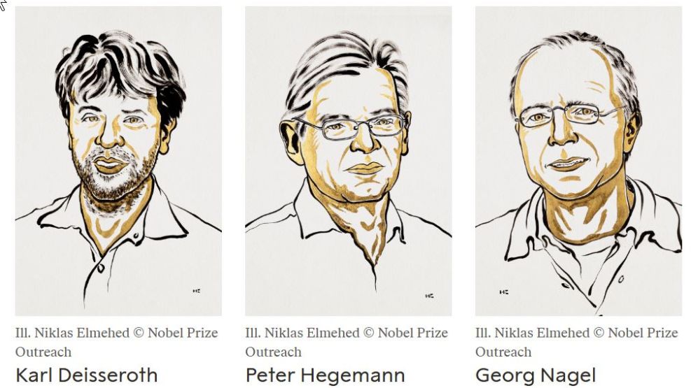 Nobel Med 2026