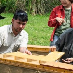 La liberación se realizó en conjunto con la Fundación Temaikèn. En su centro de rescate las aves atravesaron un proceso de rehabilitación y cuarentena antes de ser reintroducidas en su hábitat.