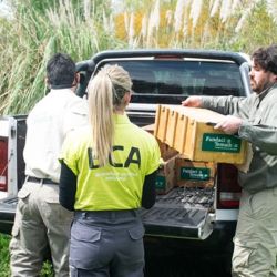 Las acciones realizadas se enmarcan en el control y la protección de la fauna silvestre impulsadas por la Subsecretaría de Ambiente de la Nación, destinadas a combatir el tráfico y favorecer la reinserción de los animales rescatados en su ambiente natural.