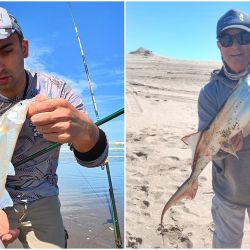 La temporada recién comienza. El clima seguirá siendo un factor decisivo, pero para el pescador de costa hay una buena noticia: cuando el mar da una tregua, el pique aparece.