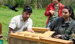 Liberaron cerca de un centenar de aves rescatadas del tráfico de fauna en Zárate