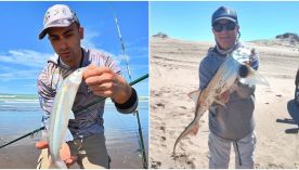 0610_pesca 