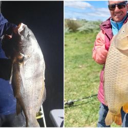 De un lado, la adrenalina de buscar una corvina negra entre los cangrejales. Del otro, una navegación hacia la Bahía para intentar con escardones de calidad. Y entre ambas alternativas aparecen carpas, bagres de mar, anchoas de banco, corvinas rubias y toda una variada que irá ganando protagonismo con el avance de la temporada. 