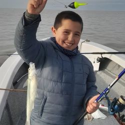 De un lado, la adrenalina de buscar una corvina negra entre los cangrejales. Del otro, una navegación hacia la Bahía para intentar con escardones de calidad. Y entre ambas alternativas aparecen carpas, bagres de mar, anchoas de banco, corvinas rubias y toda una variada que irá ganando protagonismo con el avance de la temporada. 