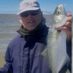 De un lado, la adrenalina de buscar una corvina negra entre los cangrejales. Del otro, una navegación hacia la Bahía para intentar con escardones de calidad. Y entre ambas alternativas aparecen carpas, bagres de mar, anchoas de banco, corvinas rubias y toda una variada que irá ganando protagonismo con el avance de la temporada. 
