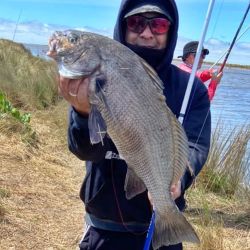De un lado, la adrenalina de buscar una corvina negra entre los cangrejales. Del otro, una navegación hacia la Bahía para intentar con escardones de calidad. Y entre ambas alternativas aparecen carpas, bagres de mar, anchoas de banco, corvinas rubias y toda una variada que irá ganando protagonismo con el avance de la temporada. 