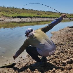 El inicio de la primavera vuelve a modificar el mapa de la pesca bonaerense. El pejerrey comienza a ceder protagonismo y las tarariras empiezan a ocupar el centro de la escena junto a lisas, carpas y el mar. 