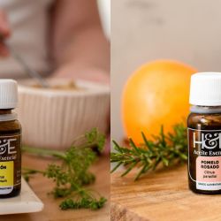 El sabor empieza por el aroma | Foto:CONTENT NOTICIAS