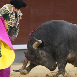 El torero español Borja Jiménez ejecuta un pase a un toro durante la Feria de Otoño en la plaza de toros de Las Ventas, en Madrid. | Foto:ALBERTO SIMON / AFP