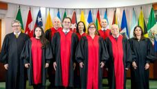 Corte Interamericana de Derechos Humanos (Corte IDH)