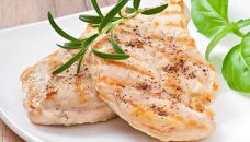 Pollo