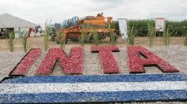 INTA
