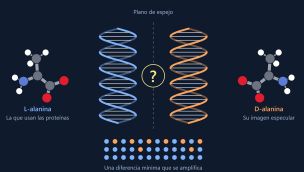 Nobel 2026 quimica
