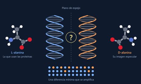 Nobel 2026 quimica