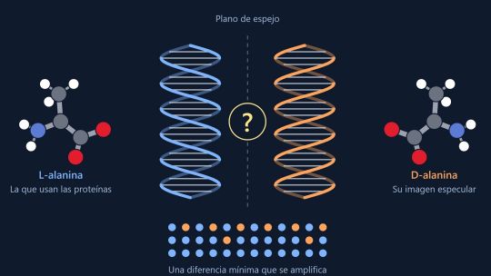 Nobel de Química para dos científicos que ayudaron a entender cómo se forman las moléculas “espejo” que caracterizan a la vida