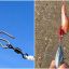 0710_lineas_mar