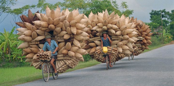 Unos pescadores transportan varias trampas de bambú para peces en sus bicicletas por una carretera de la provincia de Hai Hung, en el norte de Vietnam.
