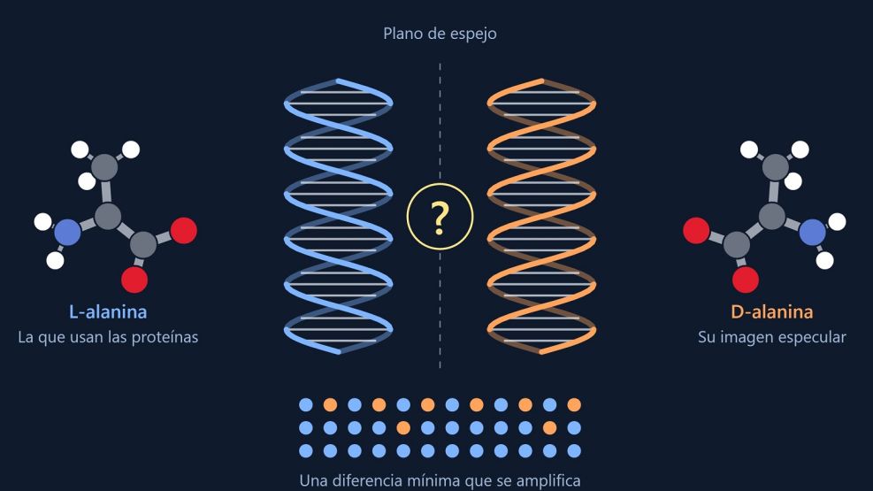 Nobel 2026 quimica
