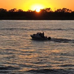 La ilusión de los pescadores por dar con el gran surubí en la noche santafesina. 