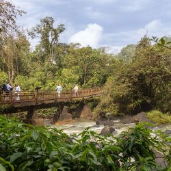 Los atractivos de Puerto Iguazú en primavera.