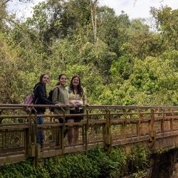 Los atractivos de Puerto Iguazú en primavera.