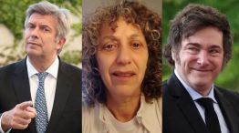 Mauricio D´Alessandro Celia Melamed Javier Milei