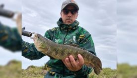 0810_PESCA