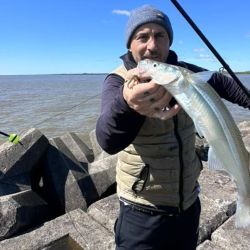 0910_mapa_pique_pesca