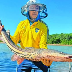 En el río De los Sueños las especies llegan a tener portes de entre 4 y 9 kilos, y su forma de pelear es oponiendo el cuerpo a la correntada. 