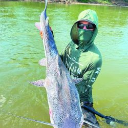 En el río De los Sueños las especies llegan a tener portes de entre 4 y 9 kilos, y su forma de pelear es oponiendo el cuerpo a la correntada. 