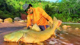En el río De los Sueños las especies llegan a tener portes de entre 4 y 9 kilos, y su forma de pelear es oponiendo el cuerpo a la correntada.