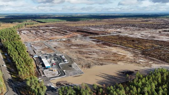 Finlandia frenó obras de Google tras la tala de más de 500 hectáreas de bosque