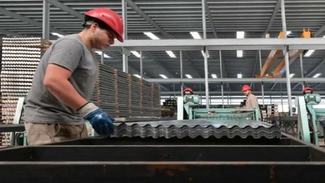 Actividad económica