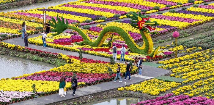 Imagen tomada con un dron de turistas observando flores en un área escénica, en la ciudad de Xinghua, en la provincia de Jiangsu, en el este de China.